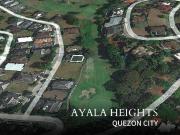 Fairway Lot for Sale in Ayala Heights, Quezon City