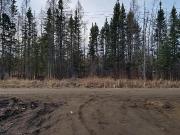 Falcon West Estates #15