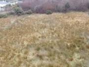 Falledeen Mountain Upper Ballinlough Co Roscommon