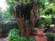 false quadrilocale 140mq