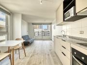 FAM Huemul [2499 11]