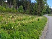 Familienfreundliche Ruheoase mit exzellenter Ortsanbindung