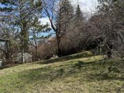 Top Lage Familienfreundliches Grundstück in Brunn a....