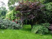 Familienfreundliches Wohnen in Liesing großzügige... Familienfreundliches Wohnen in Liesing großzügige...