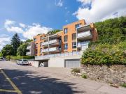 Familiennest gesucht?