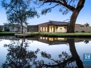 Family Entertainer at it's best