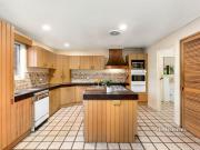 Family Entertainer in Premier Locale!