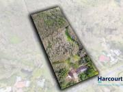 Family home on your own private slice of natural bushland
