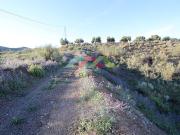 Fantástica finca con olivos