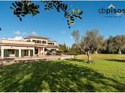 FANTASTICA FINCA RUSTICA EN ALGAIDA CON PISCINA Y...