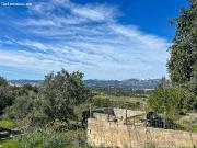 FANTASTICA FINCA RUSTICA EN EL PUIG DE SANTA MAGDALENA