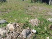 Fantástica oportunidad terreno 200 mts 2 en Lerma Comunal