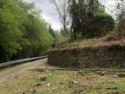 Fantástica Propriedade p/ Cultivo c/ Moradias Proxima do...