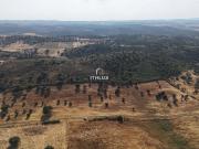 Fantástica propriedade rural com vistas deslumbrantes,... Fantástica propriedade rural com vistas deslumbrantes,...