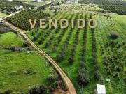 Fantástica Quinta em Silves