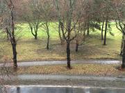 Fantastically newly renovated and newly furnished with...