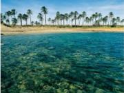 Fantástico terreno urbano, para construir 6 chalets de...