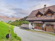 Fantastisches Einfamilienhaus mit grossem Garten und...