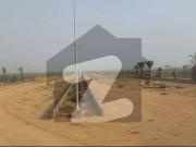 Farhan ali waris city