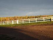 Farm For Sale Or Rent To Own,very Close To Edmonton