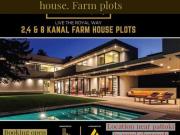Farm hose plots 3 lac per kanal dairy hot location 3 lac...