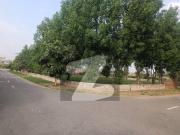 Farm House Available for Sale