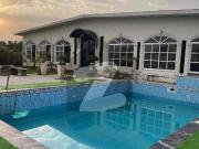 Farm House For Rent With Swimming Pool On Bedian Road Farm House For Rent With Swimming Pool On Bedian Road