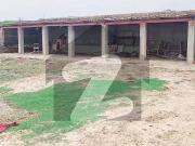 Farm House Land For Sale