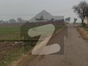 Farm House Land For Sale
