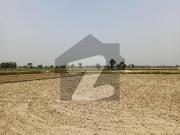 Farm house land for sale in bedian road