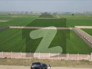 Farm House Land For Sale Near Canal View Farms