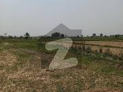 Farm house open land for sale in bedian road