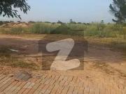 Farm house Plot for sale in gulberg greens