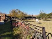 Farm in Buffelsfontein AH For Sale