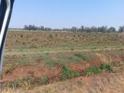 Farm in Honingneskrans AH For Sale
