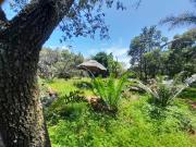 Farm in Patryshoek AH For Sale