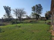 Farm in Polokwane Rural For Sale