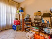 Farm in President Park For Sale
