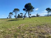 Farm in St Albans For Sale