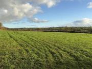 Farm land for sale