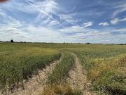 Farm land for sale