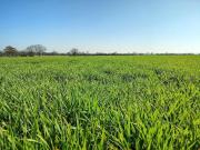 Farm land for sale