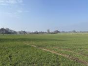 Farm land for sale