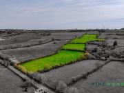 Farm land for sale