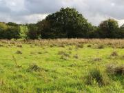Farm land for sale Farm land for sale