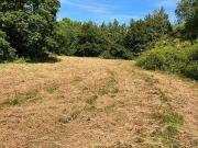 Farm Land For Sale In Approximately. Acres Of Land,...