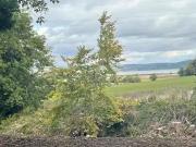 Farm Land For Sale In Lentran, Inverness, IV3