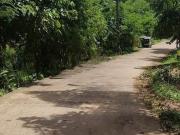 Farm Land for Sale in Siniloan Laguna