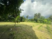 Farm Land for Sale located at Villa Libertad, El Nido,...