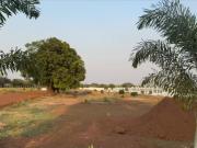 Farm Land Sale In Kapsada 12000 Sq. Ft. Plot in Kumhari...